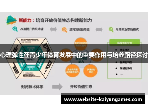 心理弹性在青少年体育发展中的重要作用与培养路径探讨