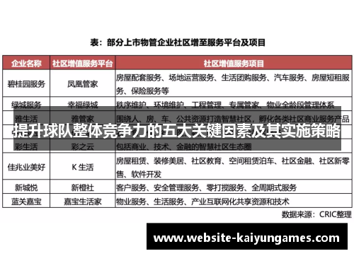 提升球队整体竞争力的五大关键因素及其实施策略