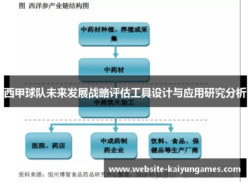 西甲球队未来发展战略评估工具设计与应用研究分析 西甲球队未来发展战略评估工具设计与应用研究分析