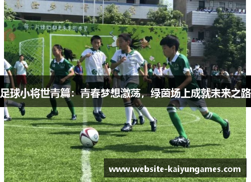 足球小将世青篇：青春梦想激荡，绿茵场上成就未来之路